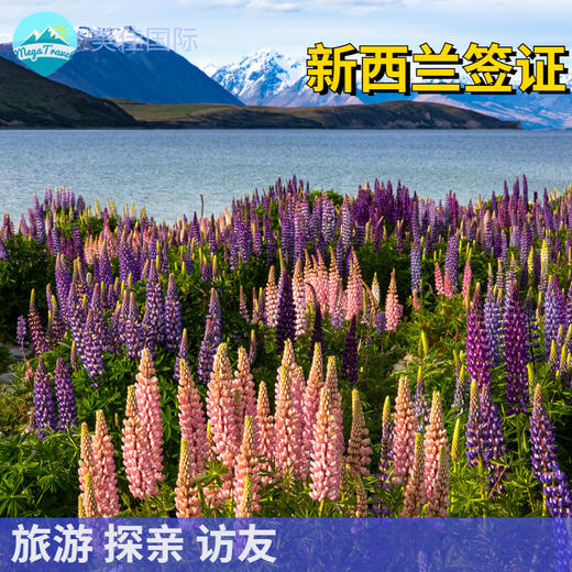 新西兰1年至5年多次个人旅游签证·支持旅游/探亲访友+全国受理+只需电子材料（报价不含翻译认证费） 商品图0