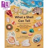 【中商原版】What A Shell Can Tell 贝壳能告诉我们什么 英文原版儿童精品绘本 社会 人物与历史主题 6到9岁 商品缩略图0