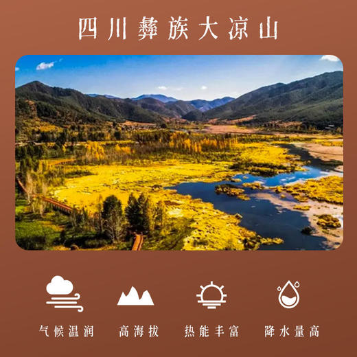 【第2盒半价】北京同仁堂葛根块南方人参大别山野生葛根块消热止渴健脾养胃不熏硫无添加 商品图3