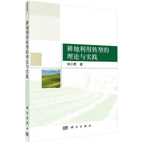 耕地利用转型的理论与实践/宋小青