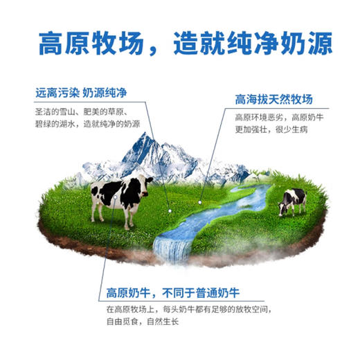 雪顿纯牛奶220ml*24 商品图1