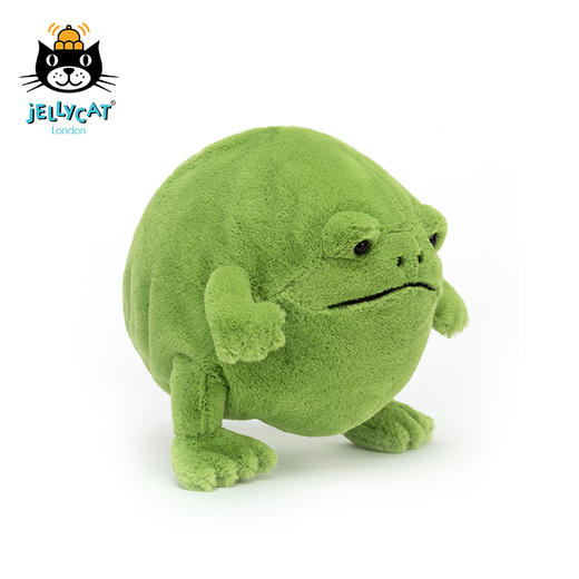 Jellycat 里奇雨蛙 商品图3