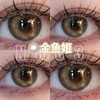 Noblegirl 年抛 金鱼姬 直径14.2mm着色13.2mm 0-1000度有525/575 商品缩略图11