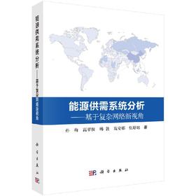 能源供需系统分析基于复杂网络新视角/孙梅 等