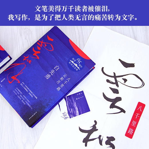 八千里路云和月 白先勇 著 文学 商品图3