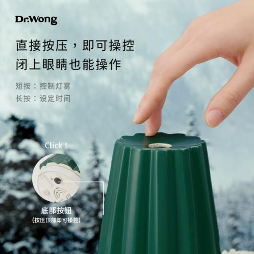 旧链接 【冷杉】香薰机  绿 商品图2