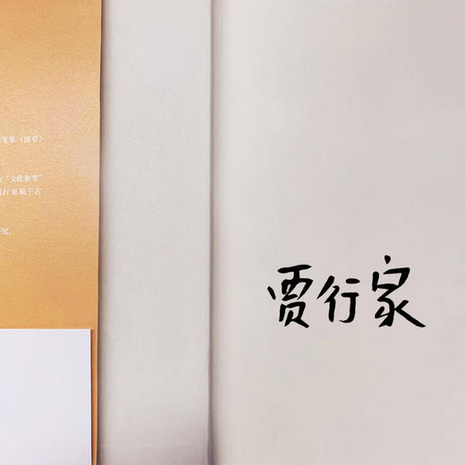 贾行家《世界上所有的沙子》 商品图3