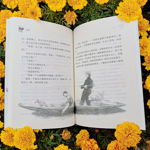 (仓发) 故乡中国儿童文学丛书--边城/中国大百科全书出版社/沈从文/9787520208253 商品图3