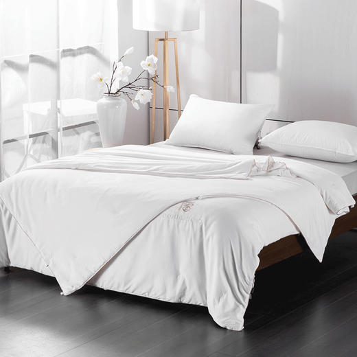 多喜爱 云裳宫阙全棉纯蚕丝子母被 cs 商品图1