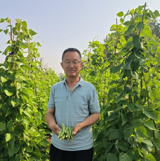 生态四季豆 | 合作生产*Eco-Vegetable Box | Coproducted 商品图1