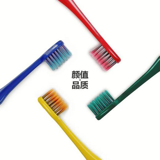 【10支装  小红书故宫色宽牙刷】高颜值软毛牙刷家庭装情侣牙刷 商品图3