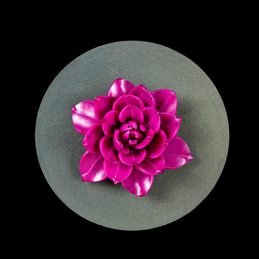 南瓜黑芝麻乳酪蛋糕 商品图3