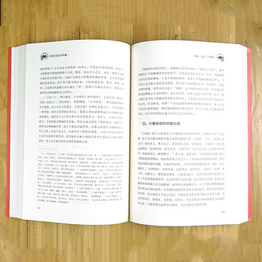 王岳川品大学中庸 商品图4