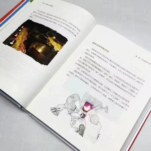 【简体中文正版】颂钵与生命整合 | 作者：杨力虹  张航 商品图2