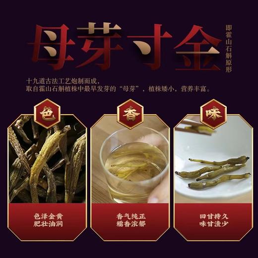 斛生记百年传承系列霍山石斛母芽寸金12000系列礼盒装1g*15瓶 商品图1