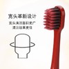 【10支装  小红书故宫色宽牙刷】高颜值软毛牙刷家庭装情侣牙刷 商品缩略图2