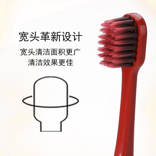 【10支装  小红书故宫色宽牙刷】高颜值软毛牙刷家庭装情侣牙刷 商品图2