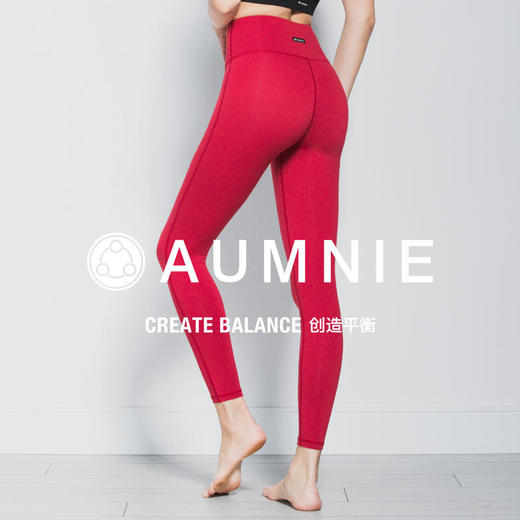 高腰显瘦多配色可选 |高腰九分裤 HIGHWAISTANKLECROPS 商品图3