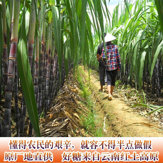 【吉顺号食品】-吉顺号 云南甘蔗老红糖 元宝红糖400g/袋 商品图5