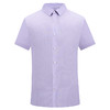MD名盾DP免烫紫色条纹正装职业夏短袖衬衣方领百搭商务衬衫男 商品缩略图4