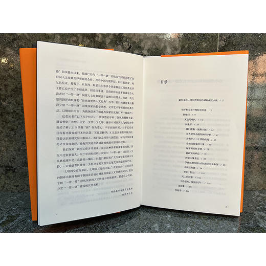 会说话的猪(新丝路世界人文经典) 商品图5