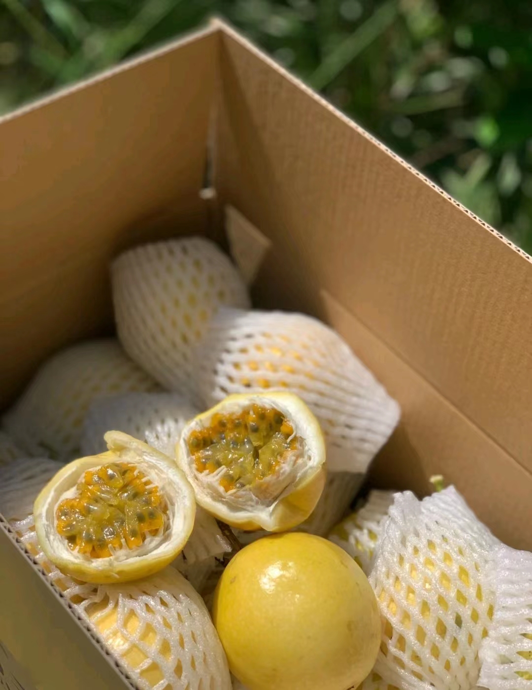 【福建外运】夏日维C小炸弹！香甜黄金百香果 钦蜜9号 1斤装/3斤装/5斤装