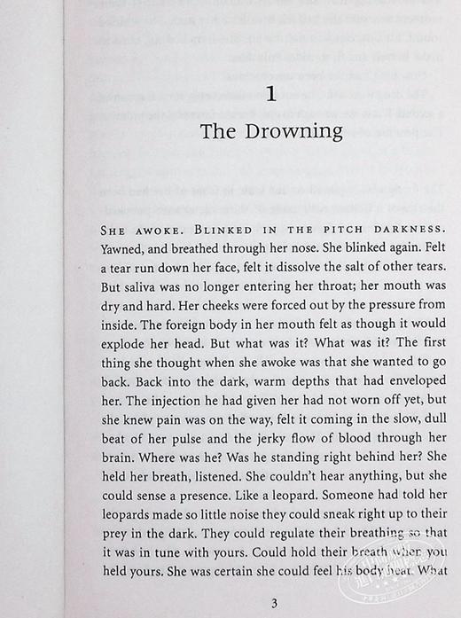 【中商原版】豹 英文原版 Leopard Jo Nesbo Vintage 英文小说 商品图5