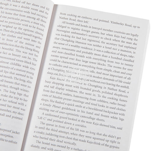 【中商原版】豹 英文原版 Leopard Jo Nesbo Vintage 英文小说 商品图4