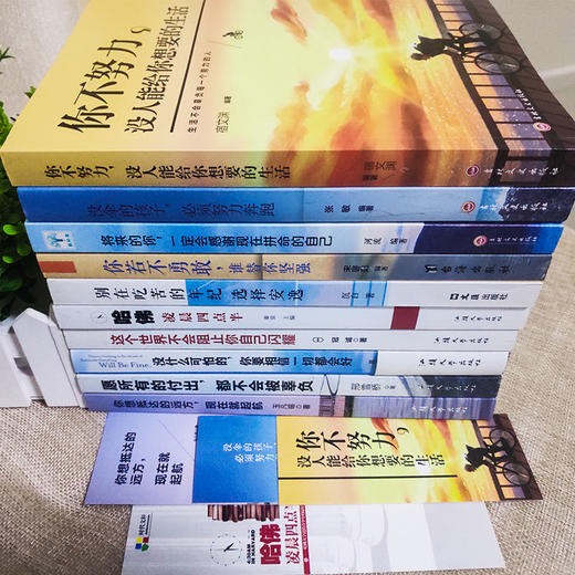 励志书籍10册你不努力没人能给你想要的生活谁也没伞的孩子必须努力奔跑别在吃苦的年纪你若不勇敢谁替你坚强青少年成长10本畅销书 商品图2