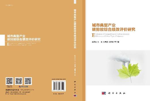城市典型产业碳排放综合绩效评价研究 商品图3
