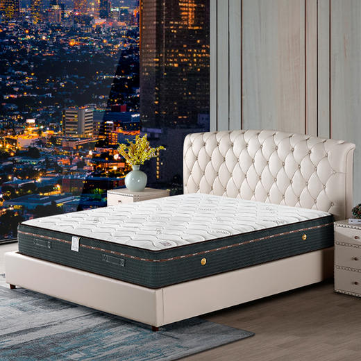 维也纳国际5.0 九代床垫 商品图1