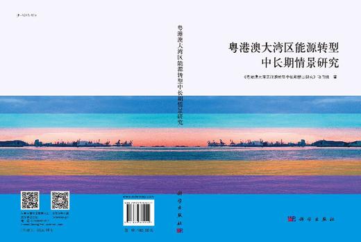 粤港澳大湾区能源转型中长期情景研究 商品图3