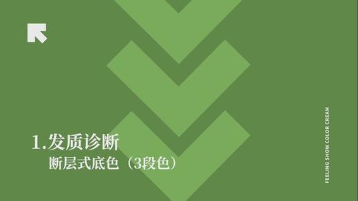 香风9-78高级雾感棕调色号 PART2 商品图0