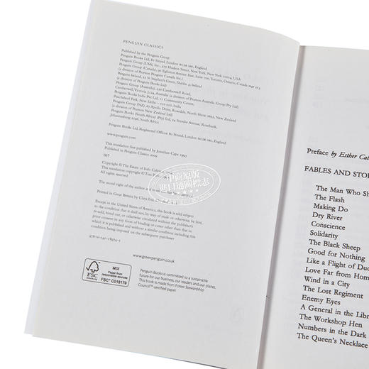 【中商原版】黑暗中的数字 伊塔洛·卡尔维诺 英文原版 Numbers in the Dark Italo Calvino 商品图3