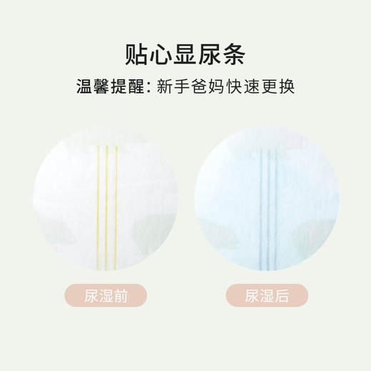 【品牌方直发】澳洲Lovekins沐歆干爽云感拉拉裤（L/XL/XXL/XXXL可选) 商品图5