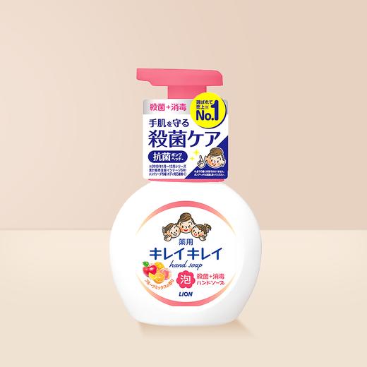 泡沫按压式洗手液 250ml*2瓶（多香型可选） 商品图2