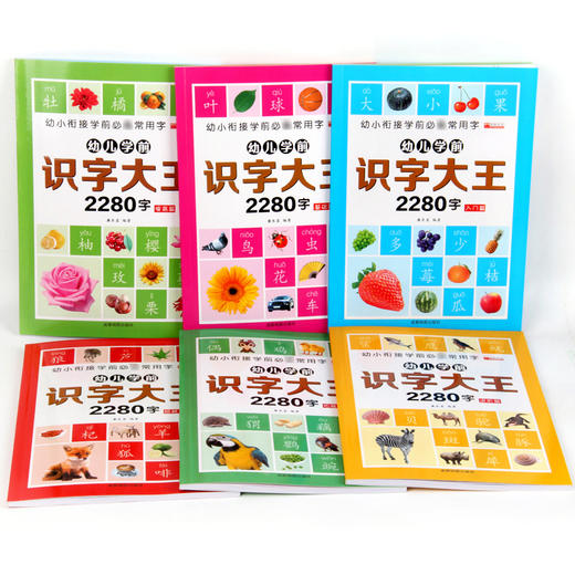 全套6册 幼儿学前识字大王2280字2-3-6岁儿童全脑思维记忆力训练幼小衔接图书拼音入门教材亲子互动宝宝看图认字识字启蒙早教书籍 商品图2