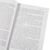预售 【中商原版】人民公仆 英文原版 A Man of the People Chinua Achebe Penguin Classics 商品缩略图4