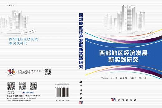 西部地区经济发展新实践研究 商品图3