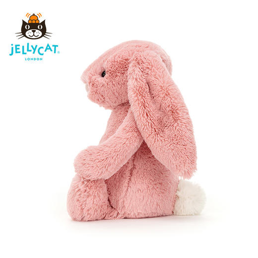 Jellycat 害羞系列 邦尼兔 花瓣 商品图3