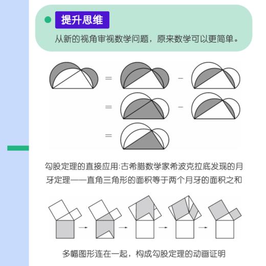 仁者wu敌面积法：巧思妙解学几何 张景中院士数学科普 几何思维 数学 简史 几何 代数 微积分 概率 商品图3