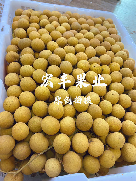 【宏丰精选】泰国龙眼  核小肉厚  口感甜   活动价15.8元一斤 商品图7