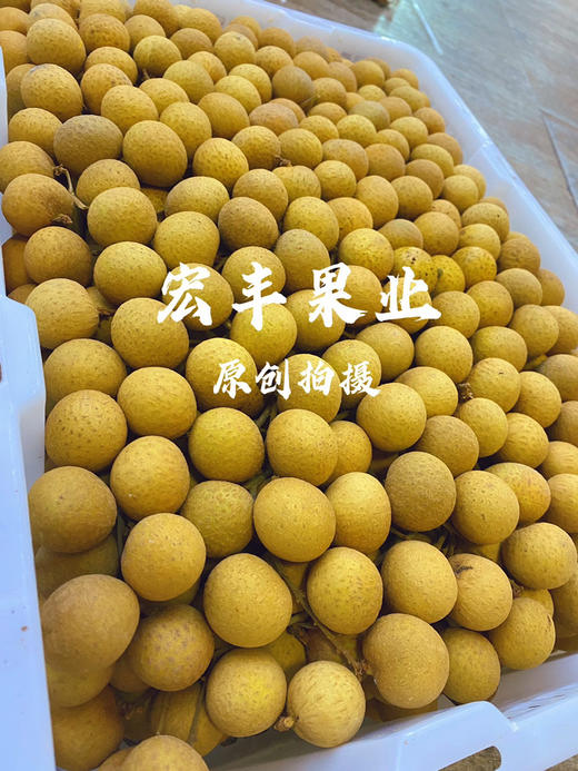 【宏丰精选】泰国龙眼  核小肉厚  口感甜   活动价15.8元一斤 商品图9