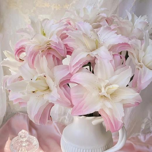 【莲花皇后重瓣百合】3头3支9朵/份 商品图1