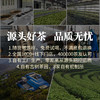 德丰昌【小饼干·生普】普洱生茶90克/盒  买1送1同款 商品缩略图4