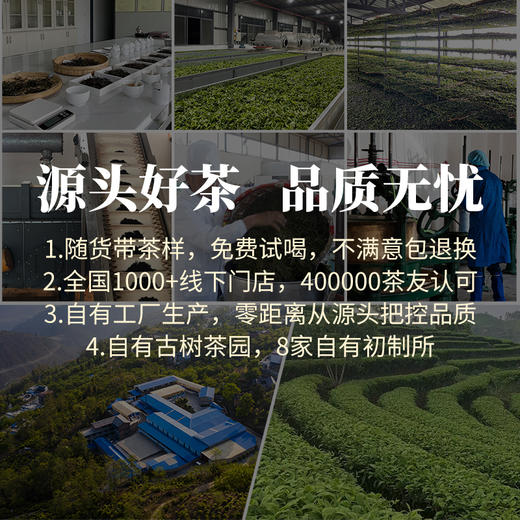 德丰昌【小饼干·生普】普洱生茶90克/盒  买1送1同款 商品图4