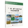 “一带一路”中亚区生态环境遥感监测 商品缩略图0