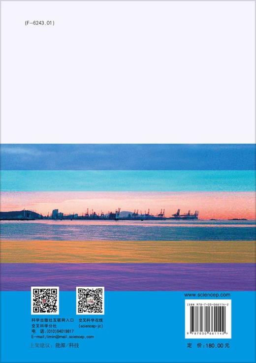 粤港澳大湾区能源转型中长期情景研究 商品图1