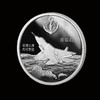 《中国航母编队》纪念银章大全套 商品缩略图10