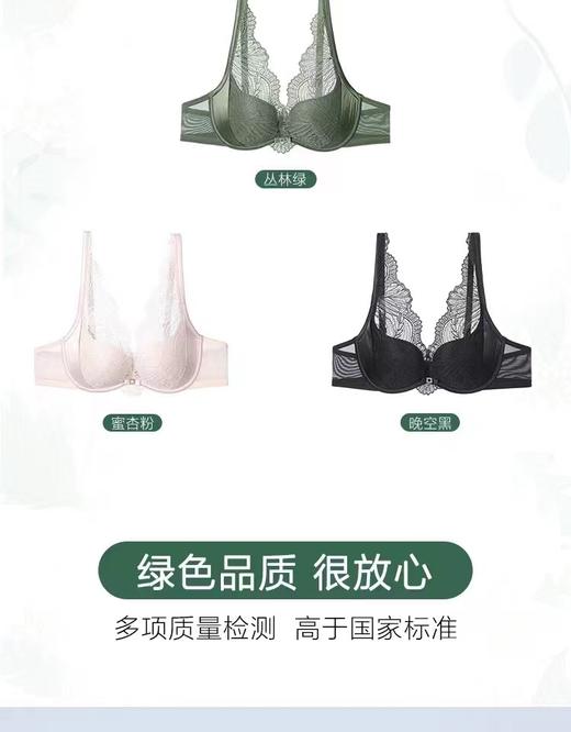 5F EmbryForm安莉芳 丛林秘境性感中厚杯软钢圈聚拢文胸 商品图9